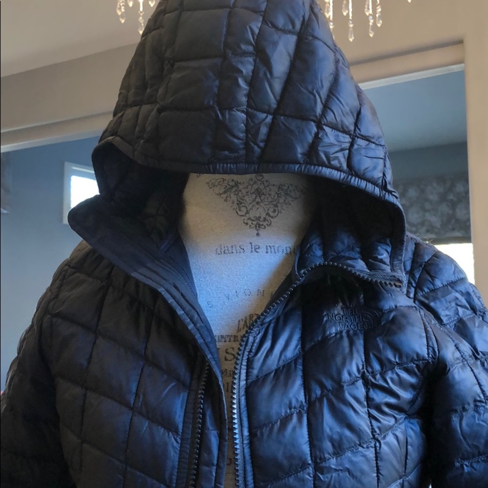 The north face jacket